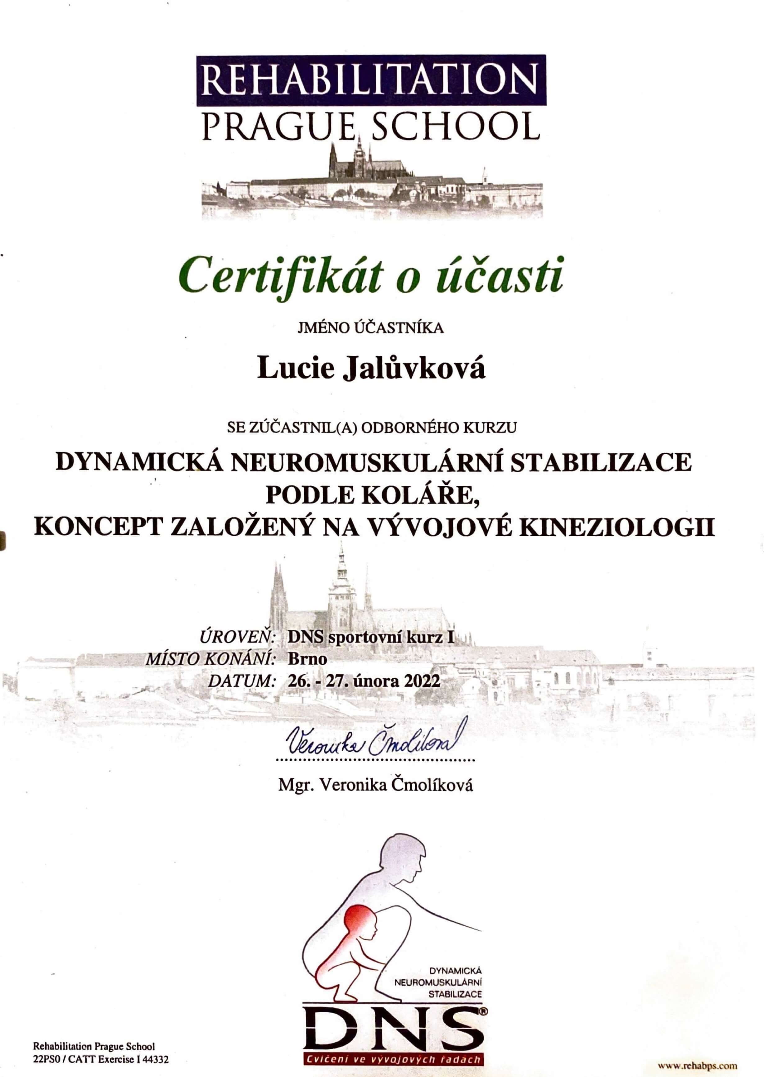 kurz-DNS
